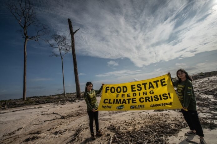 sentil food estate, PDIP tabuh genderang perang kepada Jokowi